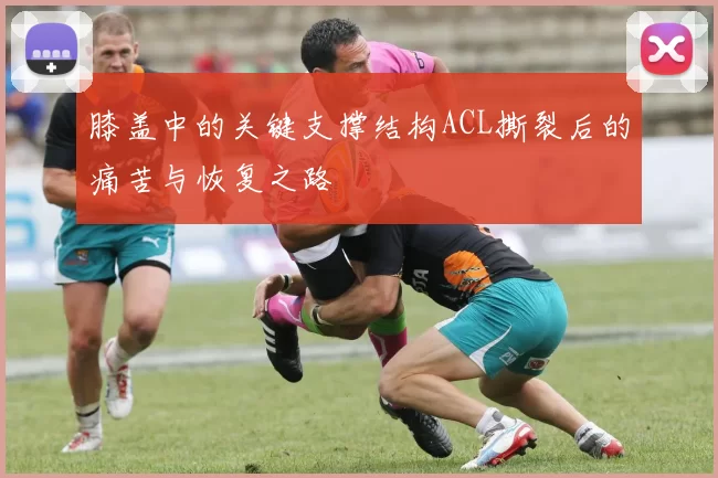 膝盖中的关键支撑结构ACL撕裂后的痛苦与恢复之路